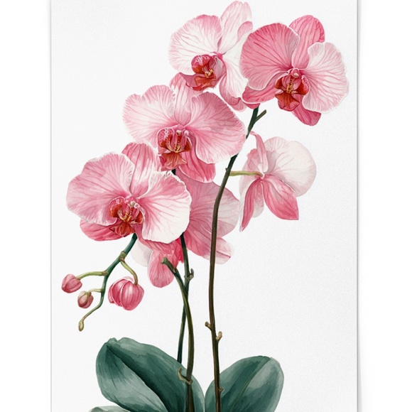 Watercolor Pink Orchids Wall Art Print Unframed - Elegant Floral Serenity - Picture 2 of 7